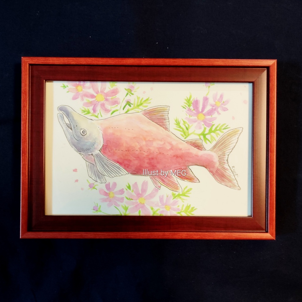 額装原画「ベニサケ」