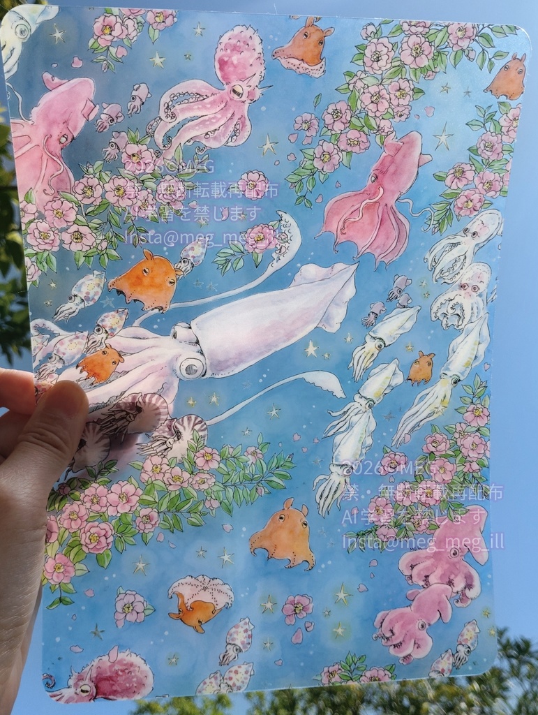 イカタコクリア下敷き