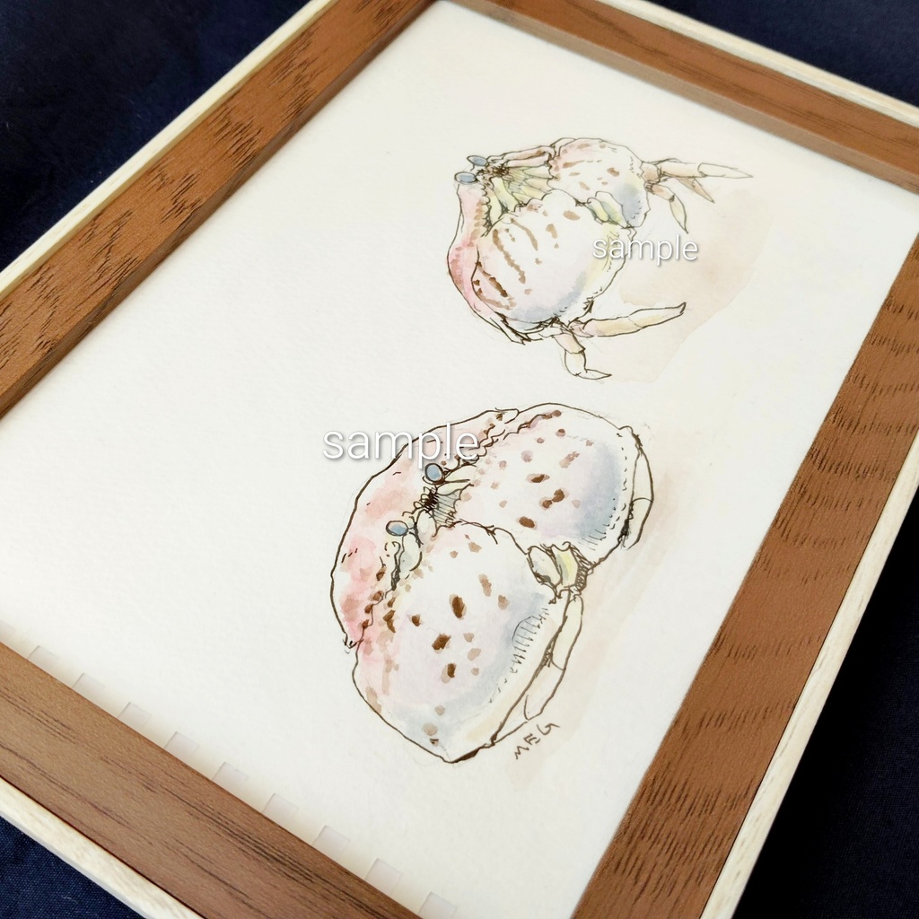 額装原画「トラフカラッパのスケッチ」