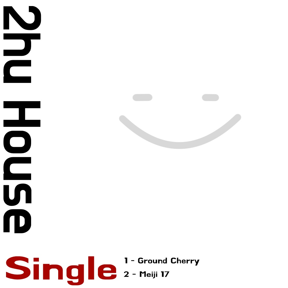 【DLのみ】TOUHOU HOUSE SINGLE