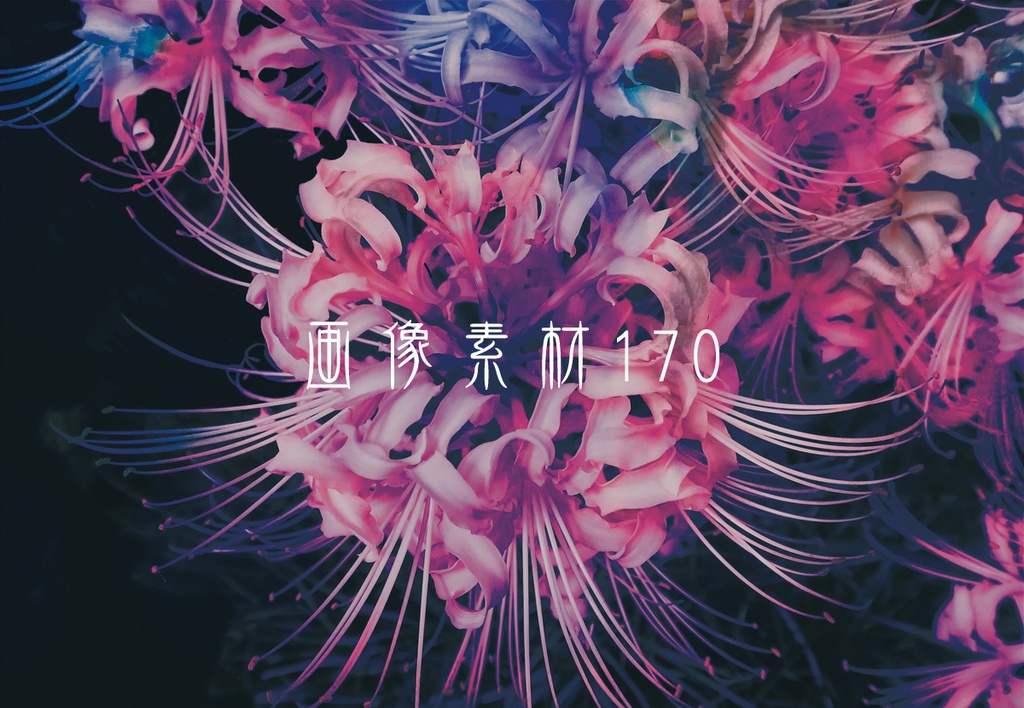 画像素材Vol.170