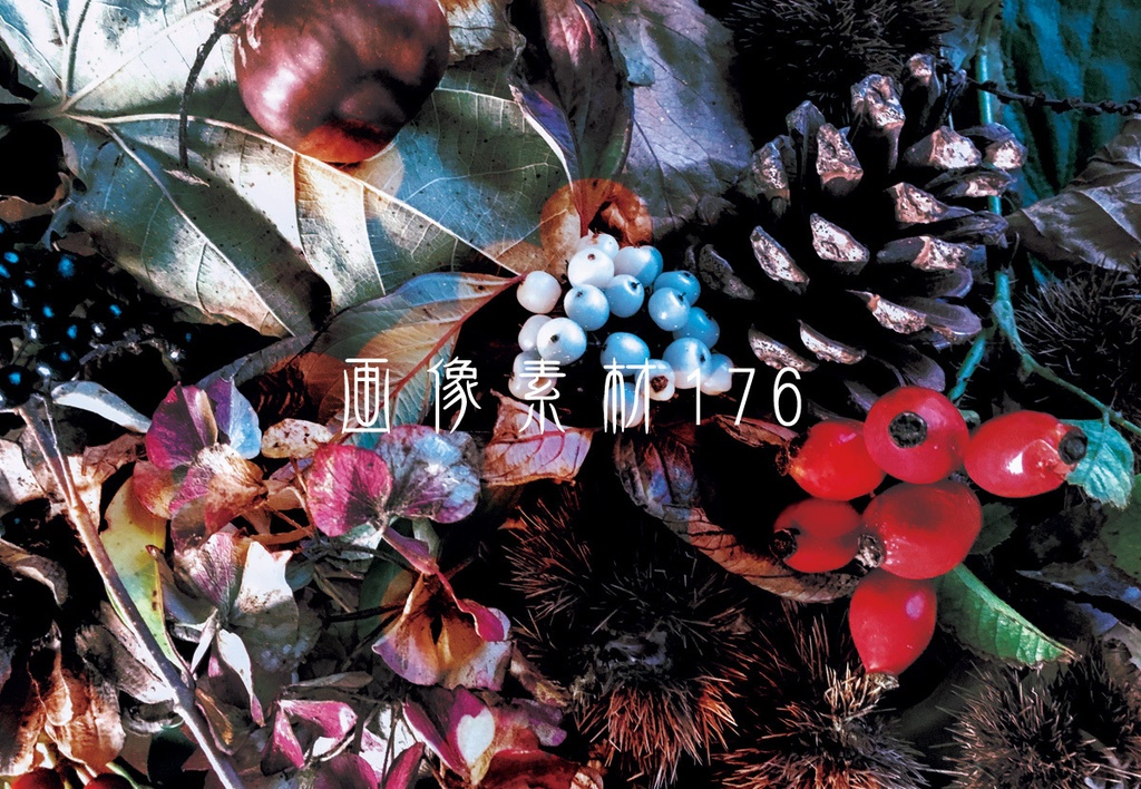画像素材Vol.176