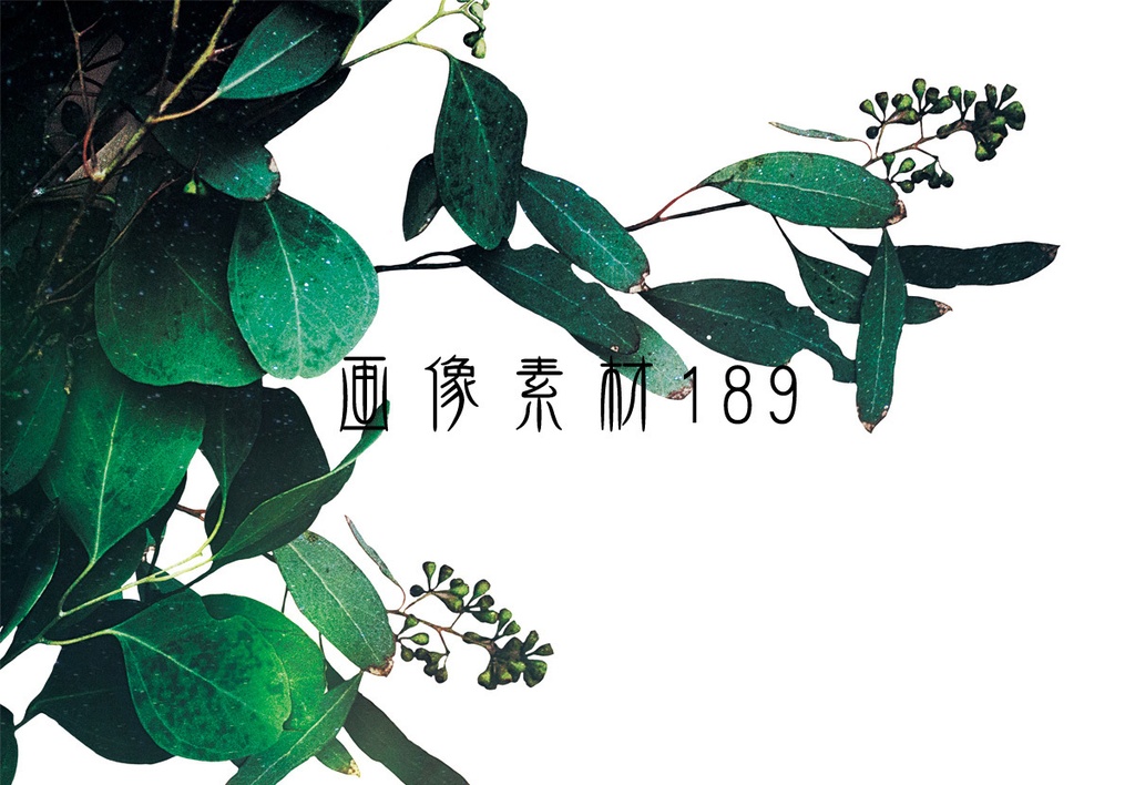 画像素材Vol.189