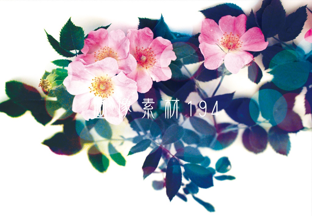 画像素材Vol.194