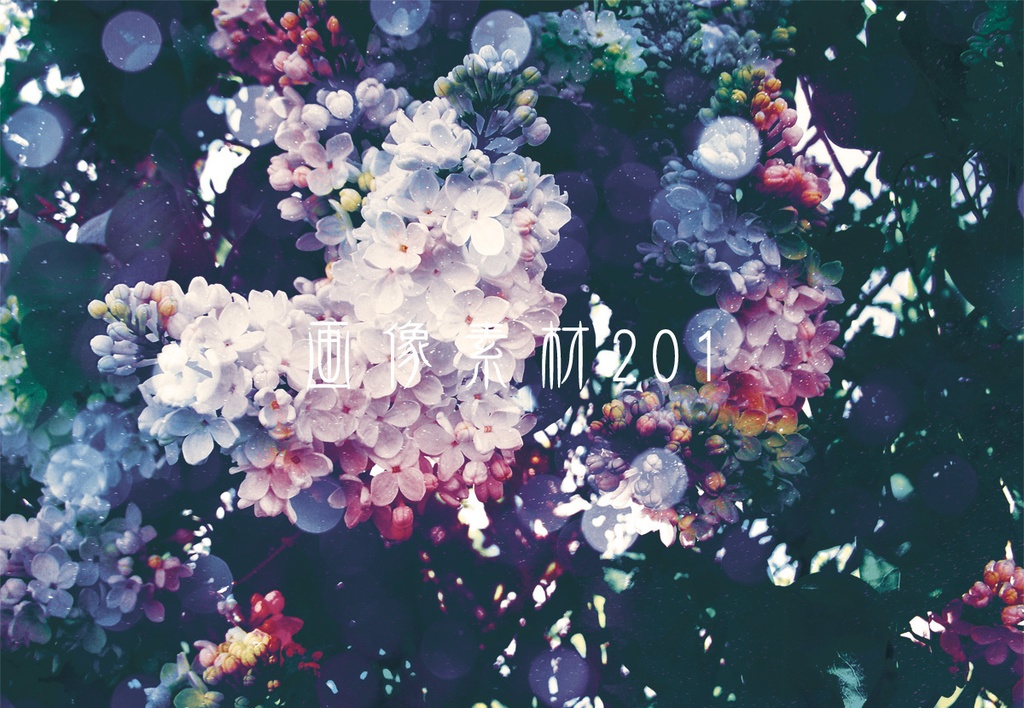 画像素材Vol.201