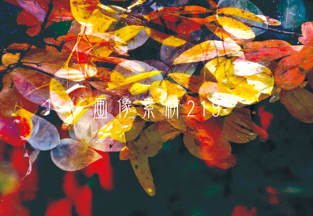 画像素材Vol.219