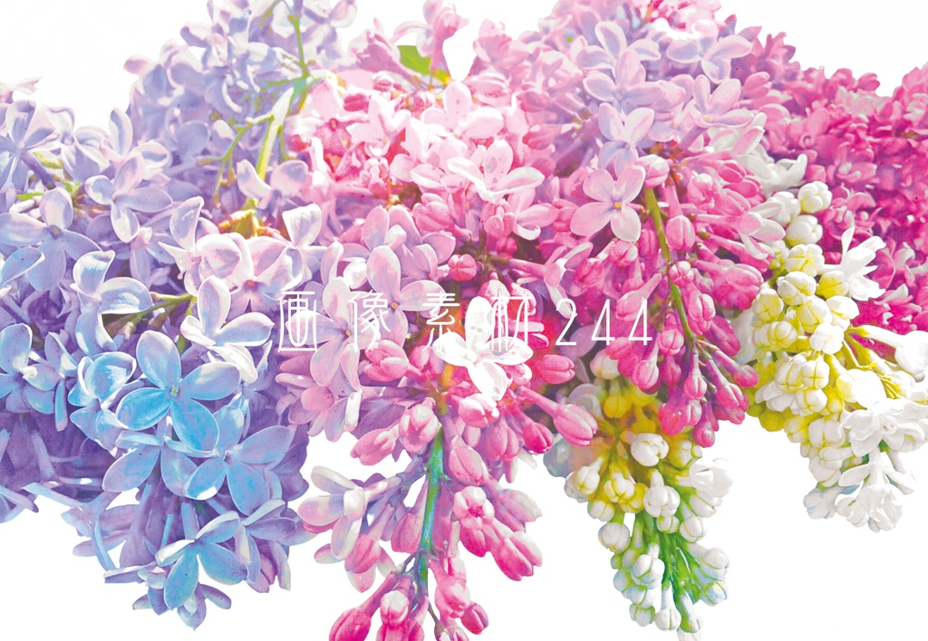 画像素材Vol.244