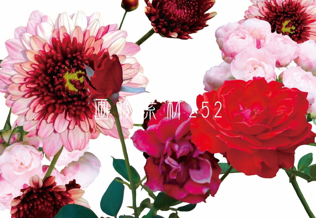 画像素材Vol.252
