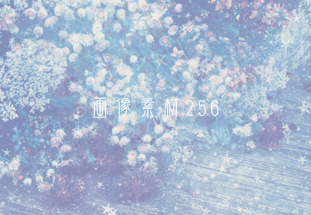 画像素材Vol.256