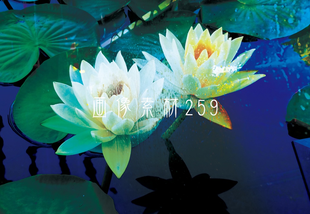 画像素材Vol.259