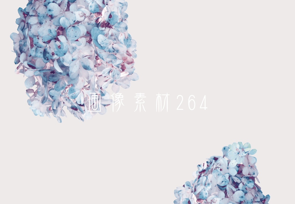 画像素材Vol.264