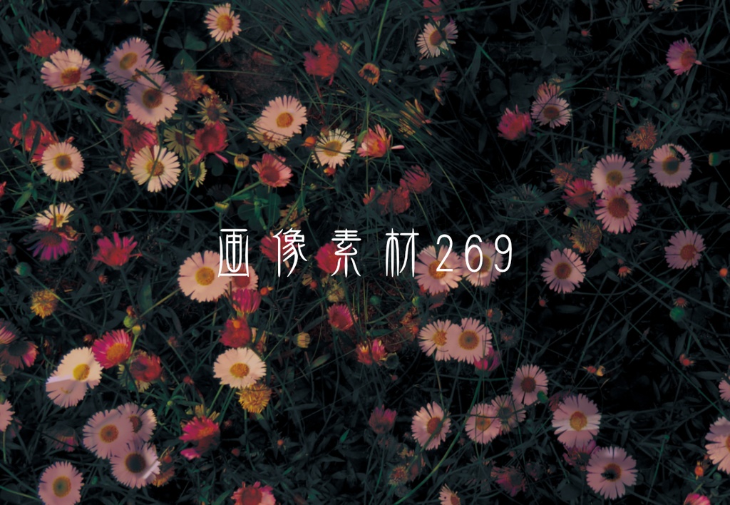 画像素材Vol.269