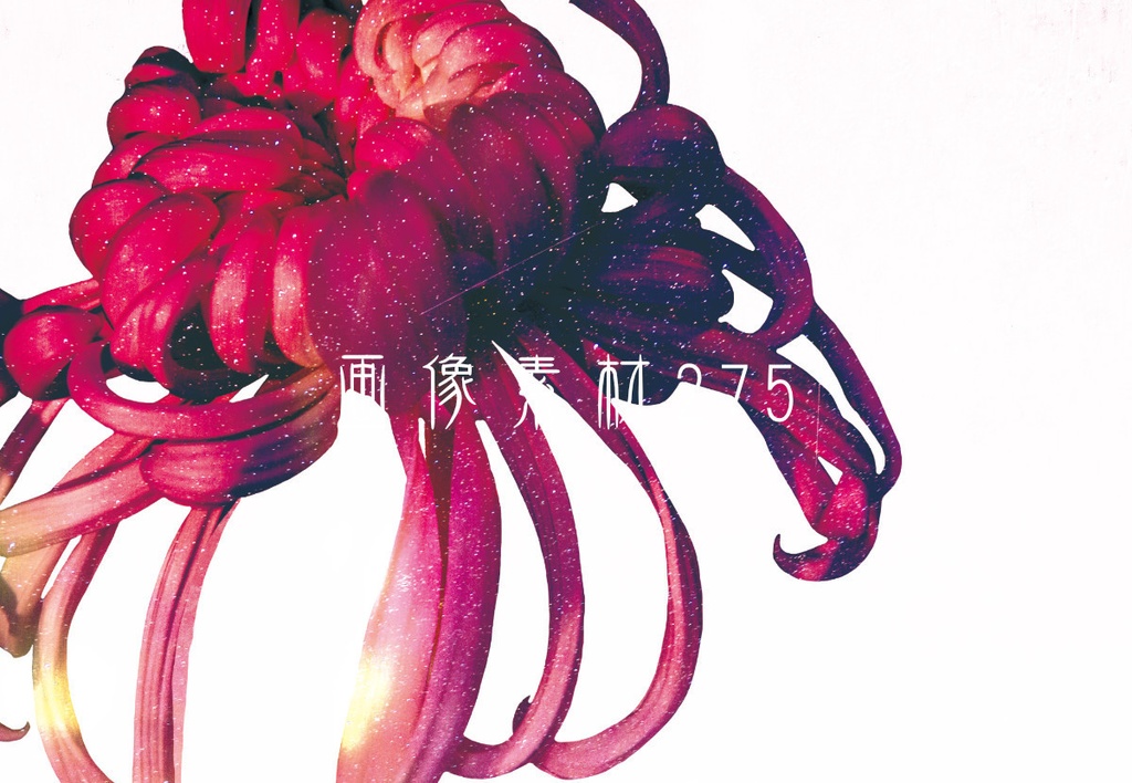 画像素材Vol.275