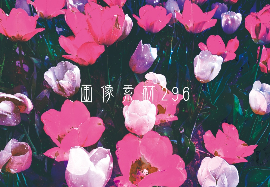 画像素材Vol.296