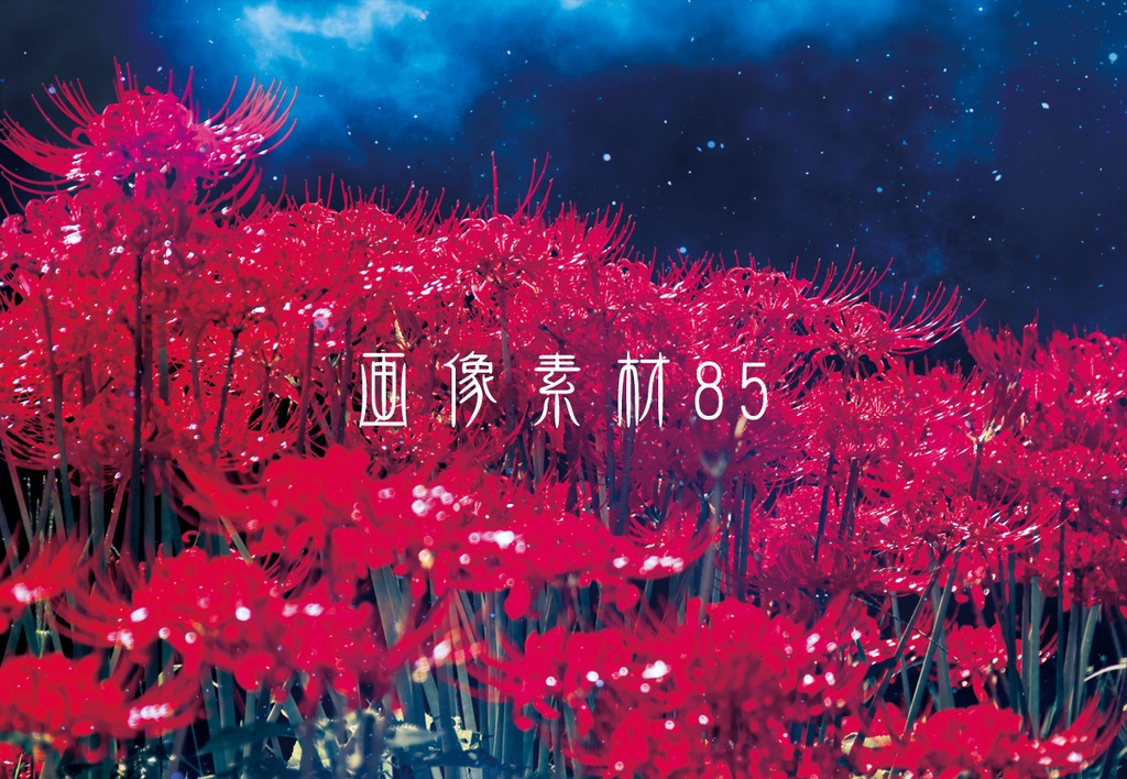 画像素材Vol.85