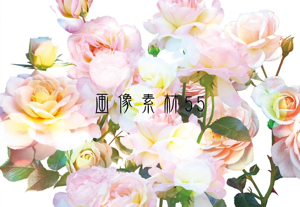 画像素材Vol.55