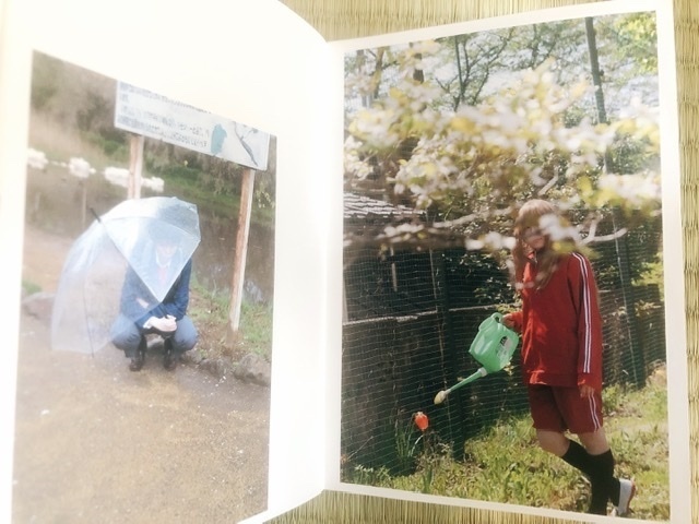 花綿のうた(青フラ)