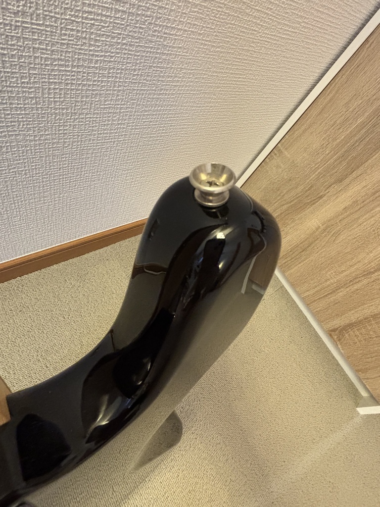 SQUIER エレキベース AFFINITY PJ BASS BWB PG BLK らーなスペシャルセット