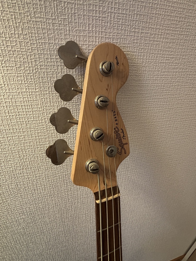 SQUIER エレキベース AFFINITY PJ BASS BWB PG BLK らーなスペシャルセット