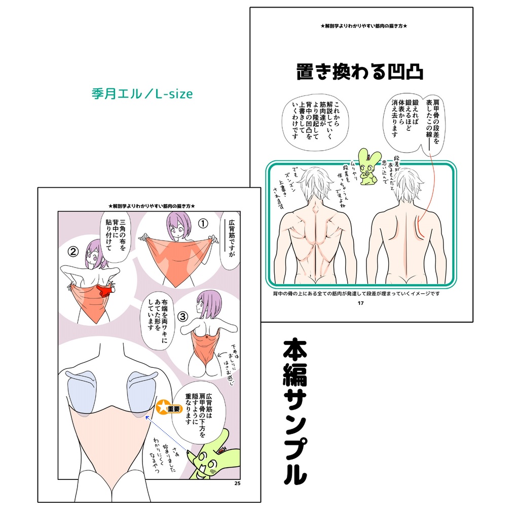 解剖学よりわかりやすい筋肉の描き方 背中編