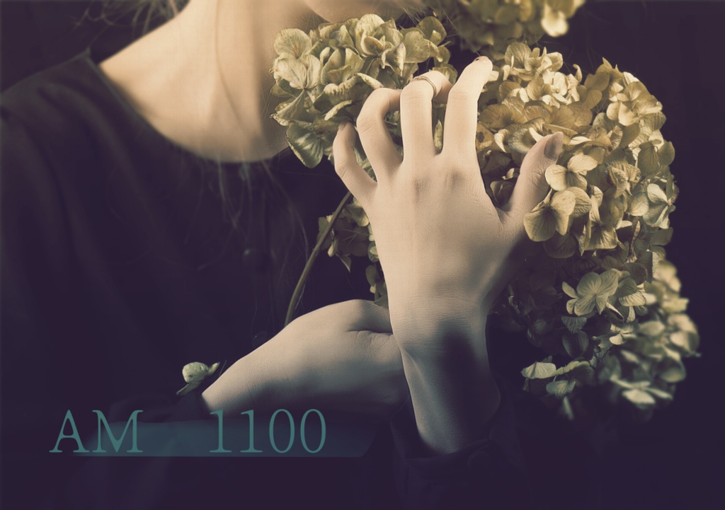 【ご依頼テキスト】AM1100