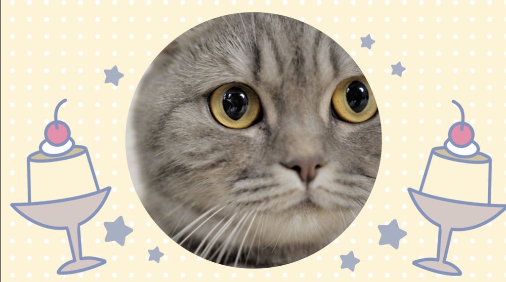 【トランジション】レトロ可愛い4種類ワイプセット