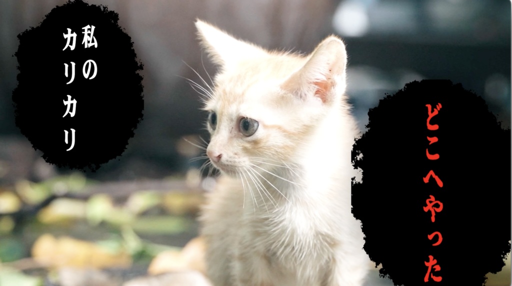 【.mogrt素材】漫画風吹き出し6セット