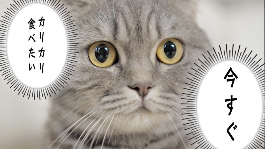 【.mogrt素材】漫画風吹き出し6セット