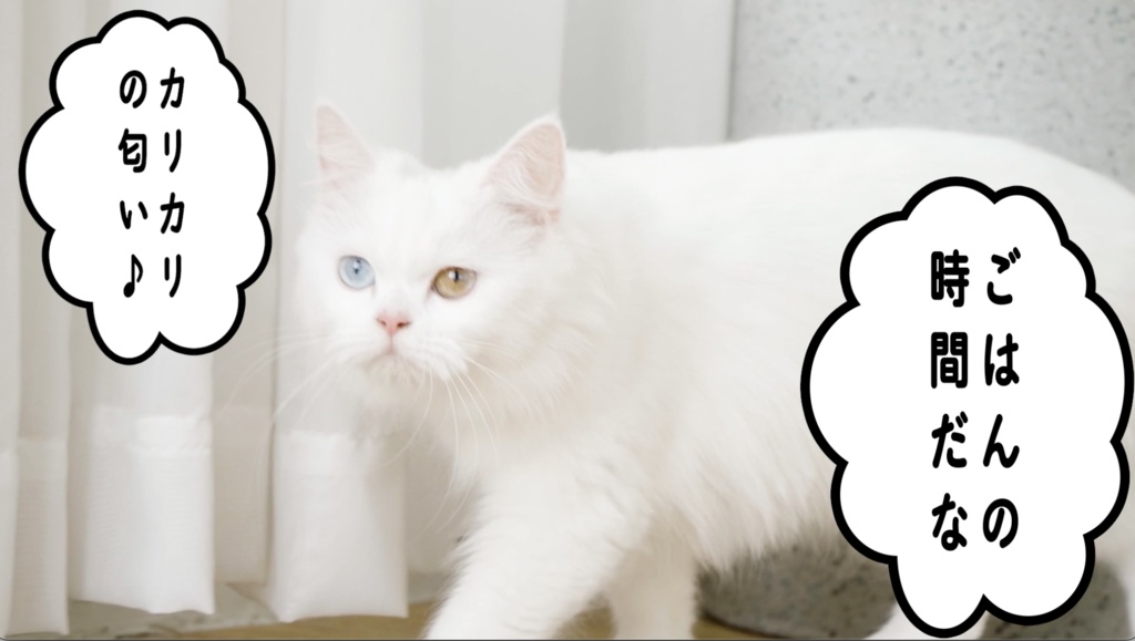 【.mogrt素材】漫画風吹き出し6セット