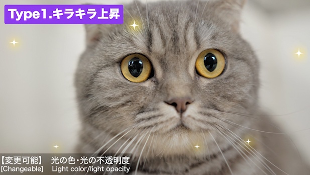 【Prテンプレ】画面を豪華に!キラキラフィルター2種類(.mogrt)