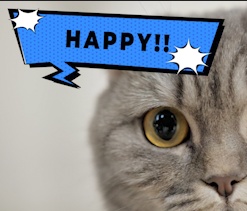 【Prテンプレ】アメコミ風!ポップな吹き出しテキスト見出し(.mogrt)