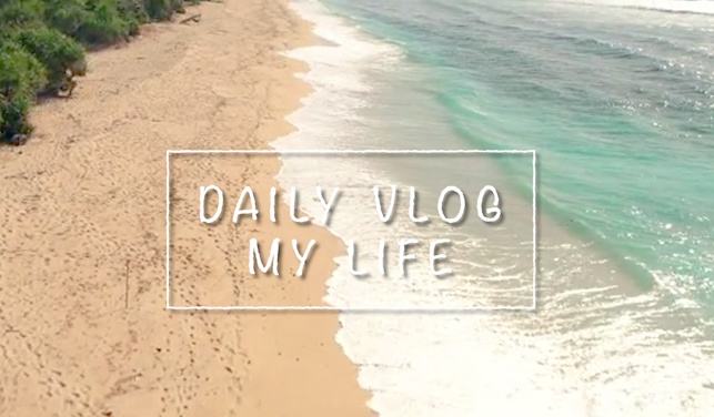 【Prテンプレ】テキストに追従!Vlogなどのタイトルに!手書き風のボックスタイトル(.mogrt)