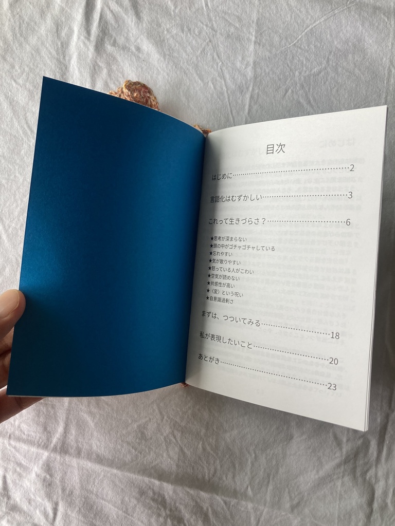 何かしら投げてみたい