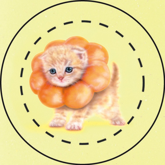 【雑貨】缶バッジ:ポンデニャイオン5個セット