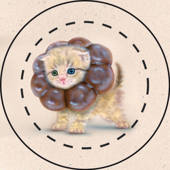 【雑貨】缶バッジ:ポンデニャイオン5個セット