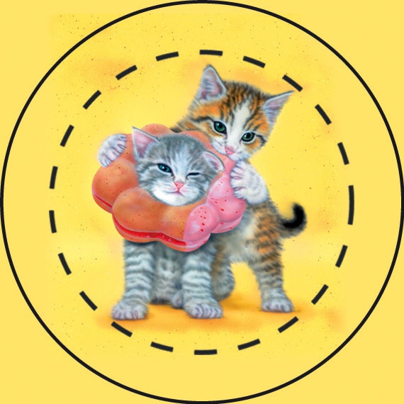 【雑貨】缶バッジ:ポンデニャイオン5個セット