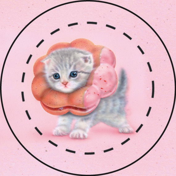 【雑貨】缶バッジ:ポンデニャイオン5個セット