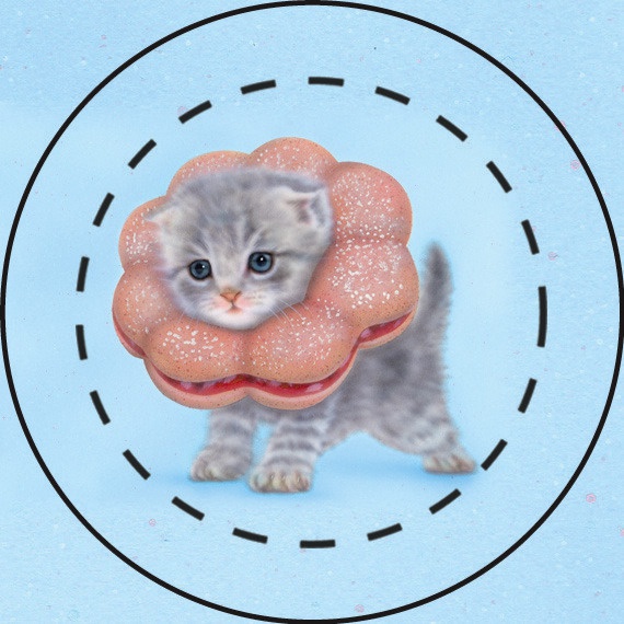 【雑貨】缶バッジ:ポンデニャイオン5個セット