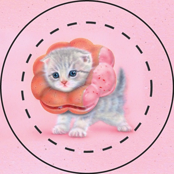 【雑貨】缶バッジ:大人気!珍獣5個セット(他の絵柄も選べる600円:送料込み!)