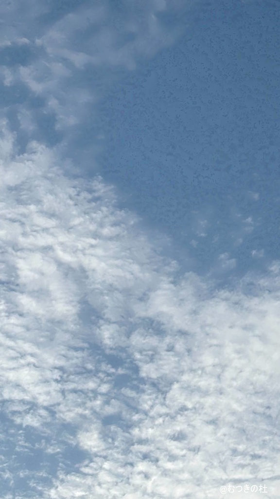 2025年9月鱗雲