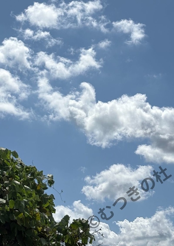 「夏の終わり」2025年9月
