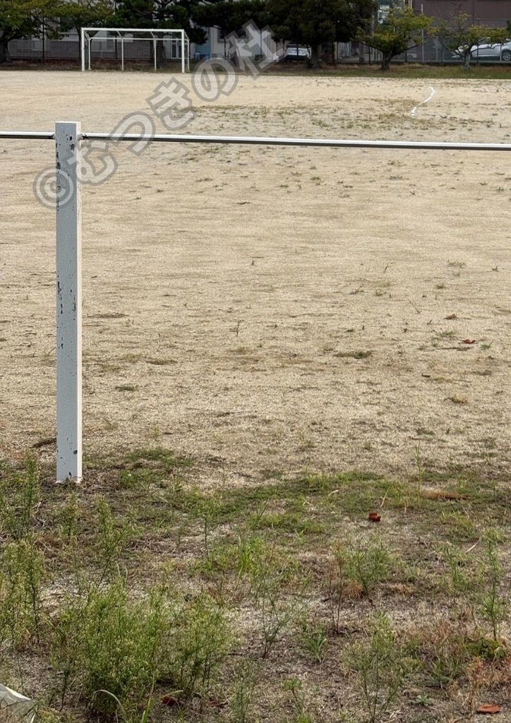 『「学校のグラウンドの様子]キャプテンやオフサイドなど』2025年10月