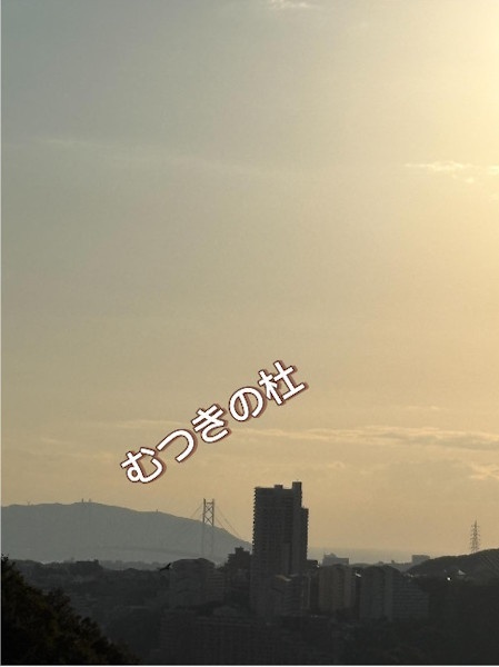 「遠くに佇む明石海峡大橋」2025年11月