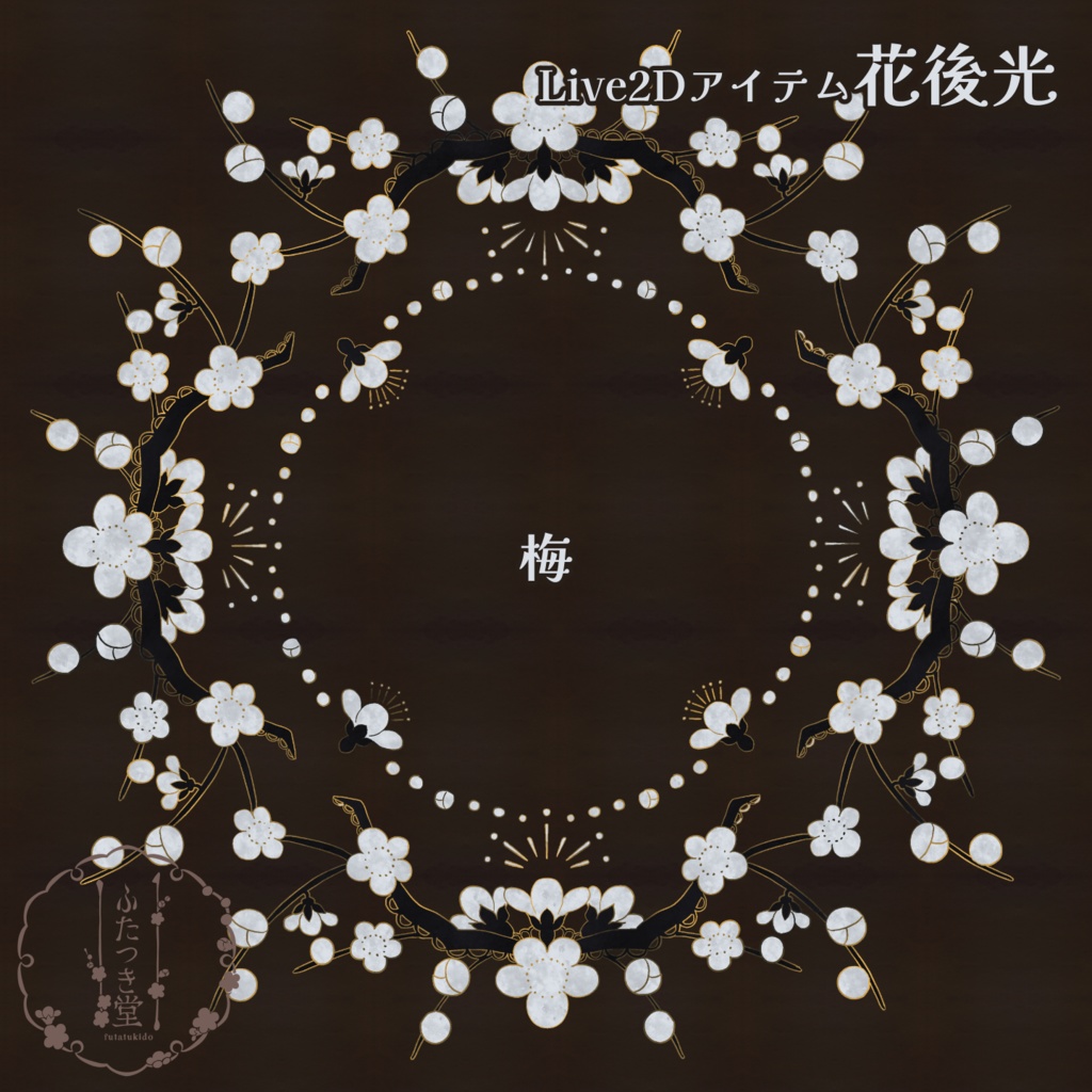 【Live2Dアイテム】花後光