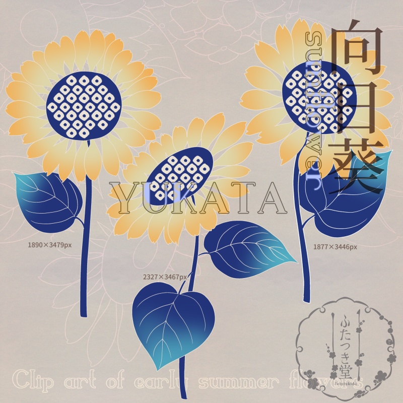 初夏の花カットイラスト