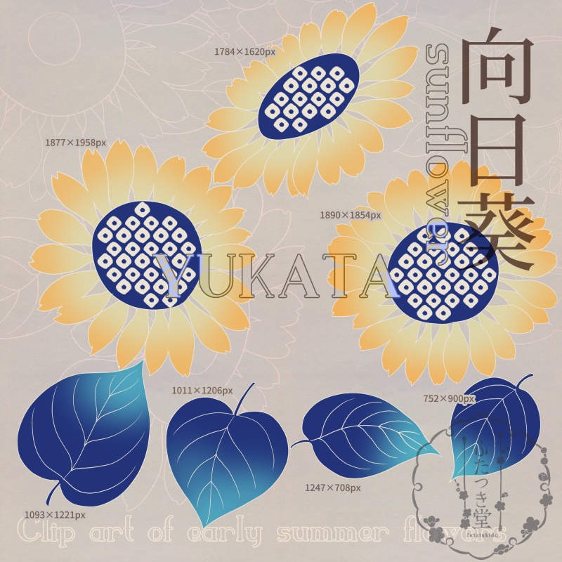 初夏の花カットイラスト