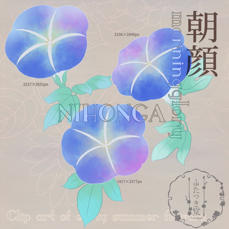 初夏の花カットイラスト