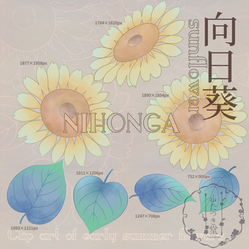 初夏の花カットイラスト