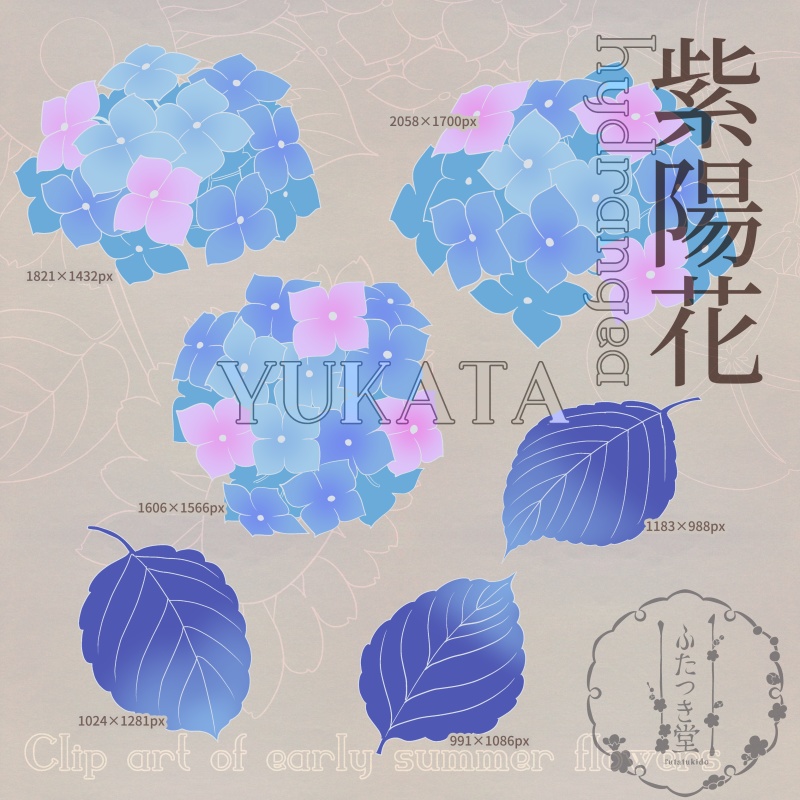 初夏の花カットイラスト