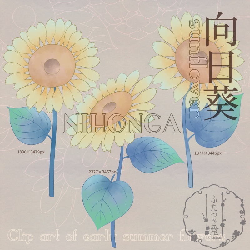 初夏の花カットイラスト